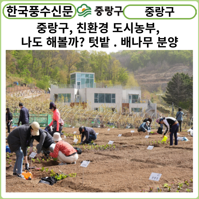 [카드뉴스] 중랑구, “친환경 도시농부, 나도 해볼까?”중랑행복농장 텃밭·봉화산자연체험공원 배나무 분양