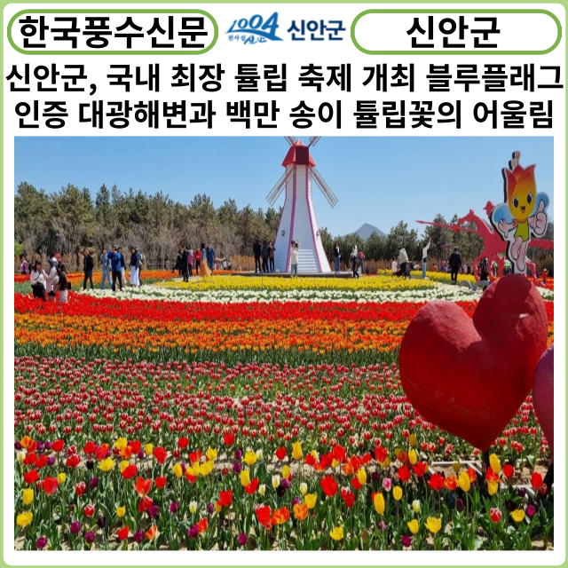 [카드뉴스] 신안군, 국내 최장 튤립 축제 개최 블루플래그 인증 대광해변과 백만 송이 튤립꽃의 어울림
