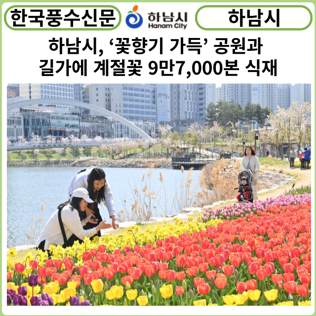 [카드뉴스] 하남시, ‘꽃향기 가득’ 공원과 길가에 계절꽃 9만7,000본 식재