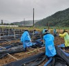 한국수자원공사, 임직원 봉사단, 폭우피해 현장 달려가 임직원 봉사단 450여 명 전국 각지 봉사활동
