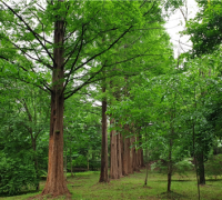 경기도산림환경연구소,도시숲 ‘물향기수목원’ 미세먼지 저감 효과 탁월해