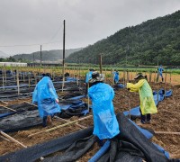 한국수자원공사, 임직원 봉사단, 폭우피해 현장 달려가 임직원 봉사단 450여 명 전국 각지 봉사활동