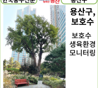 [카드뉴스] 용산구, 보호수 생육환경 모니터링 삼백살 넘은 파크타워 은행나무 스마트 하게 돌본다.