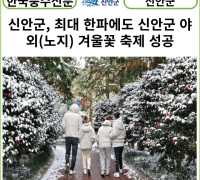 [카드뉴스] 신안군, 최대 한파에도 신안군 야외(노지) 겨울꽃 축제 성공