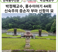 [카드뉴스] 박정해교수 풍수이야기 44회 ...신숙주의 증손이자 부마 신항의 묘