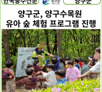 [카드뉴스] 양구군, 양구수목원 유아 숲 체험 프로그램 진행