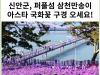 [카드뉴스] 신안군, 퍼플섬 삼천만송이 아스타 국화꽃 구경 오세요!