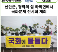 [카드뉴스] 신안군, 평화의 섬 하의면에서 국화분재 전시회 개최