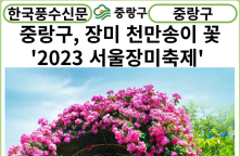 [카드뉴스]중랑구, 장미에 진심! 천만송이 꽃 피울‘2023 서울장미축제’온다