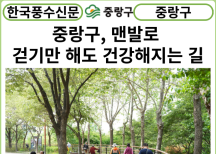 [카드뉴스] 중랑구, '맨발로 걷기만 해도 건강해지는 길' 용마폭포공원 내 황톳길 조성
