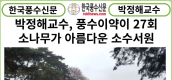 [카드뉴스] 한국풍수신문, 박정해교수 풍수이양기 27회... 소나무가 아름다운 소수서원
