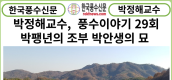 [카드뉴스] 한국풍수신문, 박정해 교수 풍수이야기 29회 ...박팽년의 조부 박안생의 묘