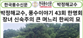 [카드뉴스] 박정해교수 풍수이야기 43회 ,,,한명회의 장녀이자 신숙주의 큰 며느리 한씨의 묘