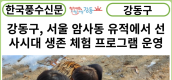[카드뉴스] 강동구, 서울 암사동 유적에서 선사시대 생존 체험 프로그램 운영