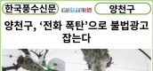 [카드뉴스] 양천구, ‘전화 폭탄’으로 불법광고 잡는다
