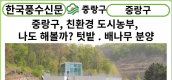 [카드뉴스] 중랑구, “친환경 도시농부, 나도 해볼까?”중랑행복농장 텃밭·봉화산자연체험공원 배나무 분양