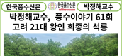 [풍수연재] 박정해교수 풍수이야기 61회 ...고려 21대 왕인 희종의 석릉