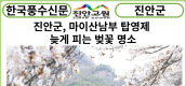 [카드뉴스] 진안군, 마이산남부 탑영제 늦게 피는 벚꽃 명소