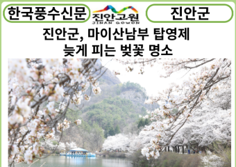[카드뉴스] 진안군, 마이산남부 탑영제 늦게 피는 벚꽃 명소