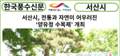 [카드뉴스] 서산시, 전통과 자연이 어우러진 ‘양유정 수목제’ 개최